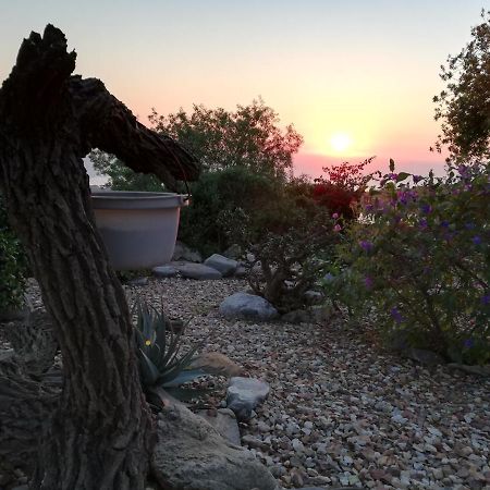 Onze Uitsight Cottage 圣赫勒拿湾 外观 照片