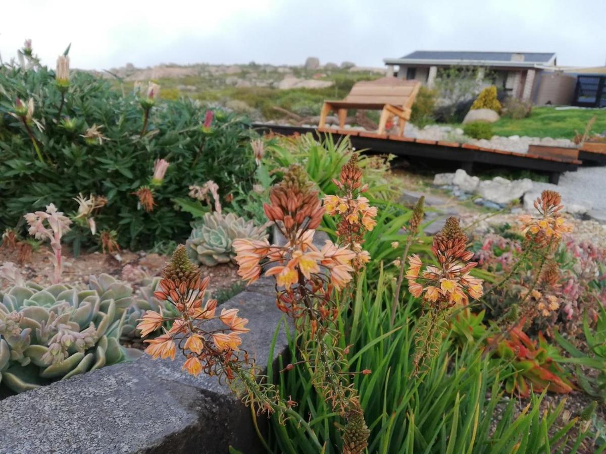 Onze Uitsight Cottage 圣赫勒拿湾 外观 照片